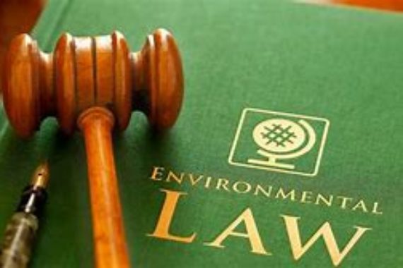https://www.essellar.co.uk/wp-content/uploads/2020/03/Expert-Witness-570x380.jpg